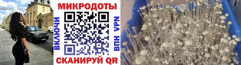 Галлюциногенные грибы ЛСД  Купить закладки  Петровск-Забайкальский 